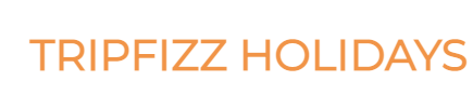 logo of Tripfizz Holidays Private Limited